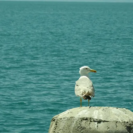 Rainbow 1 Complex Hotel apartamentowy Słoneczny Brzeg