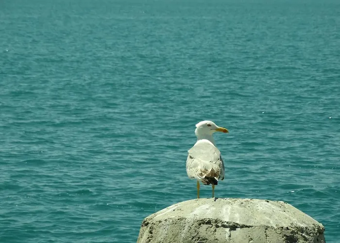Rainbow 1 Complex Lägenhetshotell Slăntjev Brjag